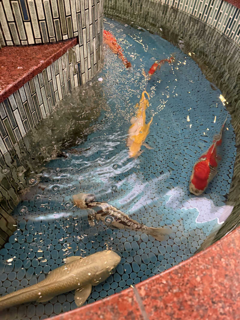 kaikaiさんの夢の公衆浴場 五色のサ活写真