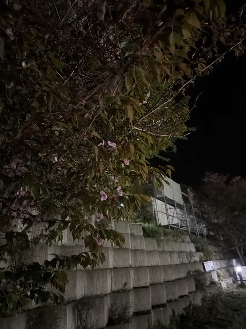 sora_yokoさんの信州須坂 関谷温泉湯っ蔵んどのサ活写真