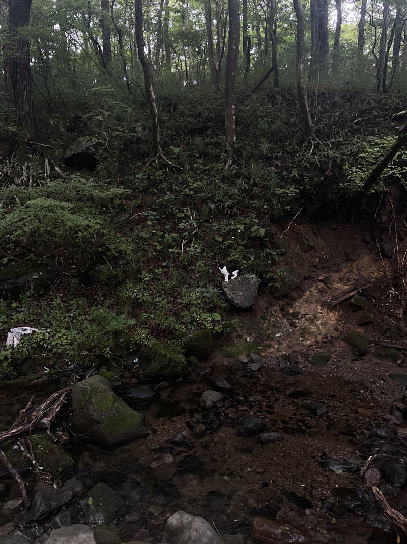 ぺるさんのnasu roomのサ活写真