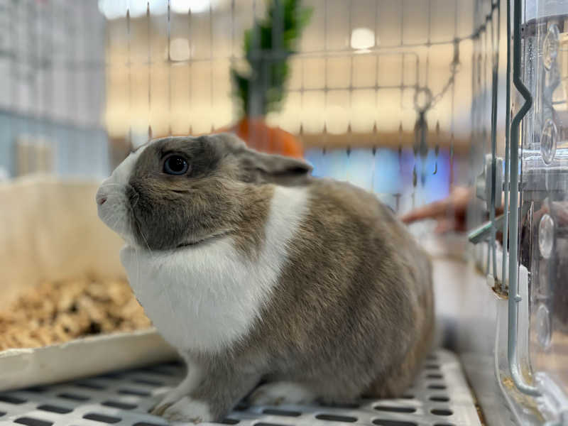 osatwo@熱波姉妹(姉)さんのアクアリゾート 岐阜ふじの湯のサ活写真