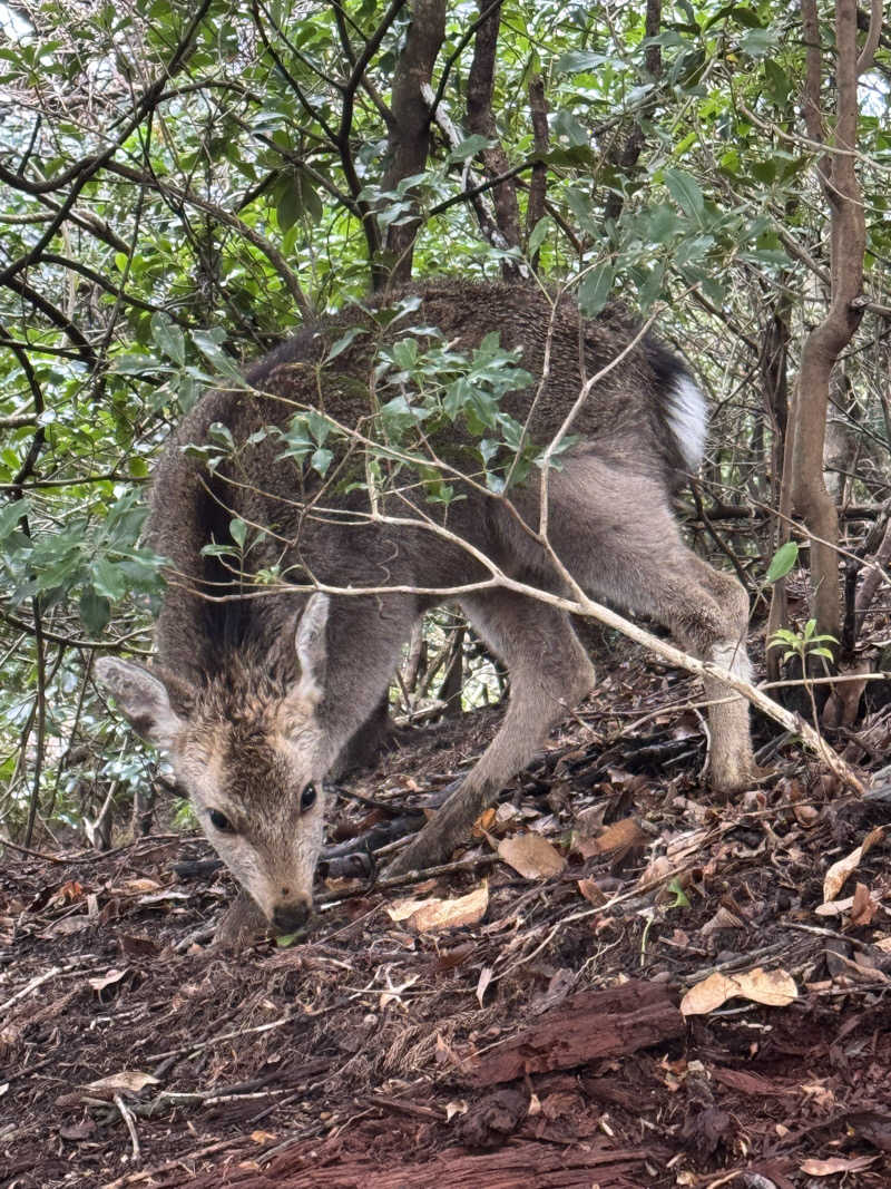 Toddさんの弘法の里湯のサ活写真