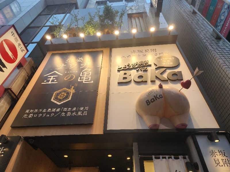 ゆ～すけさんの生姜サウナ「金の亀」のサ活写真