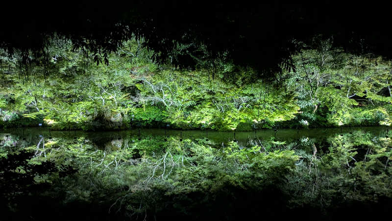 まーさんの御船山楽園ホテル  らかんの湯のサ活写真