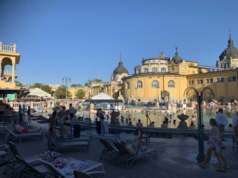 ドージマさんのセーチェーニ温泉のサ活写真