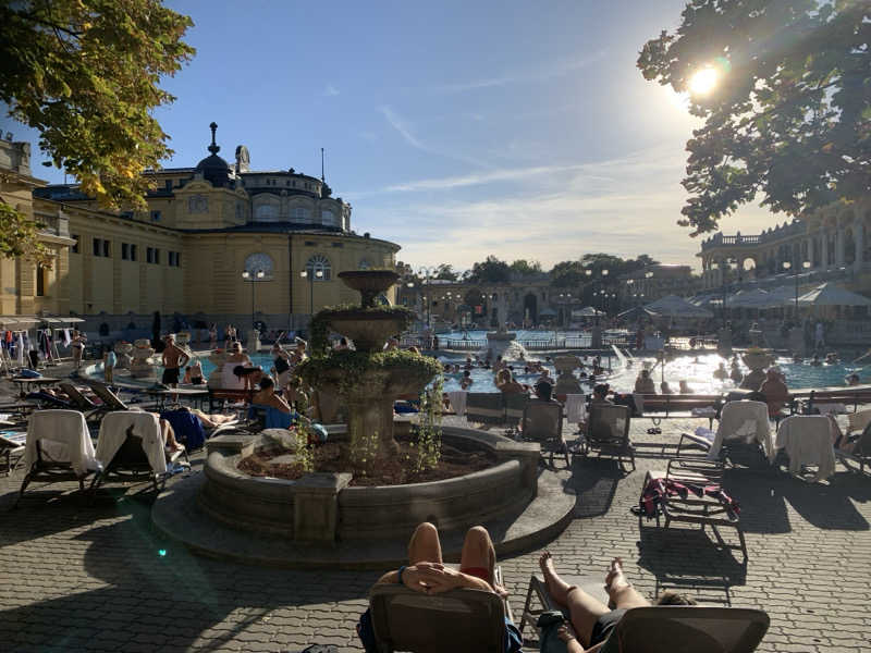 ドージマさんのセーチェーニ温泉のサ活写真