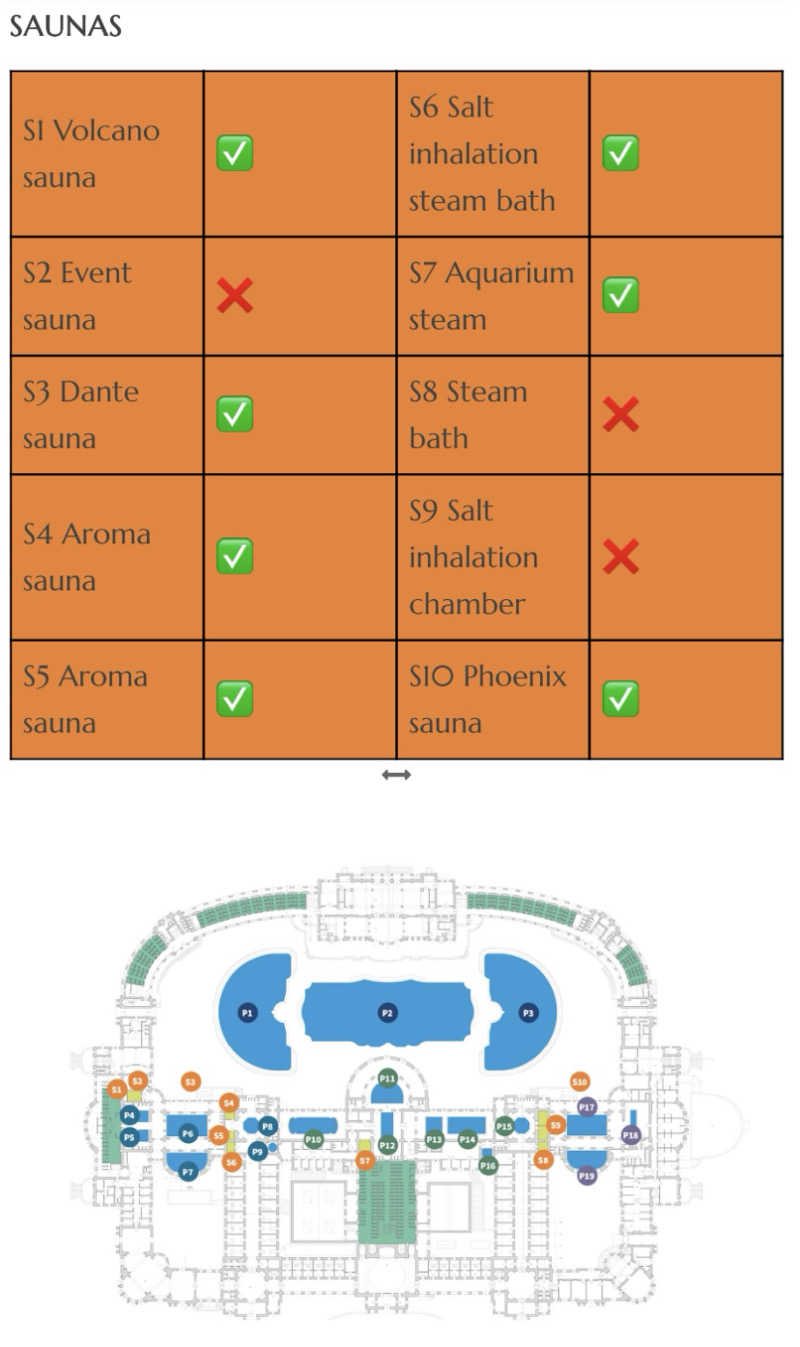 ドージマさんのセーチェーニ温泉のサ活写真