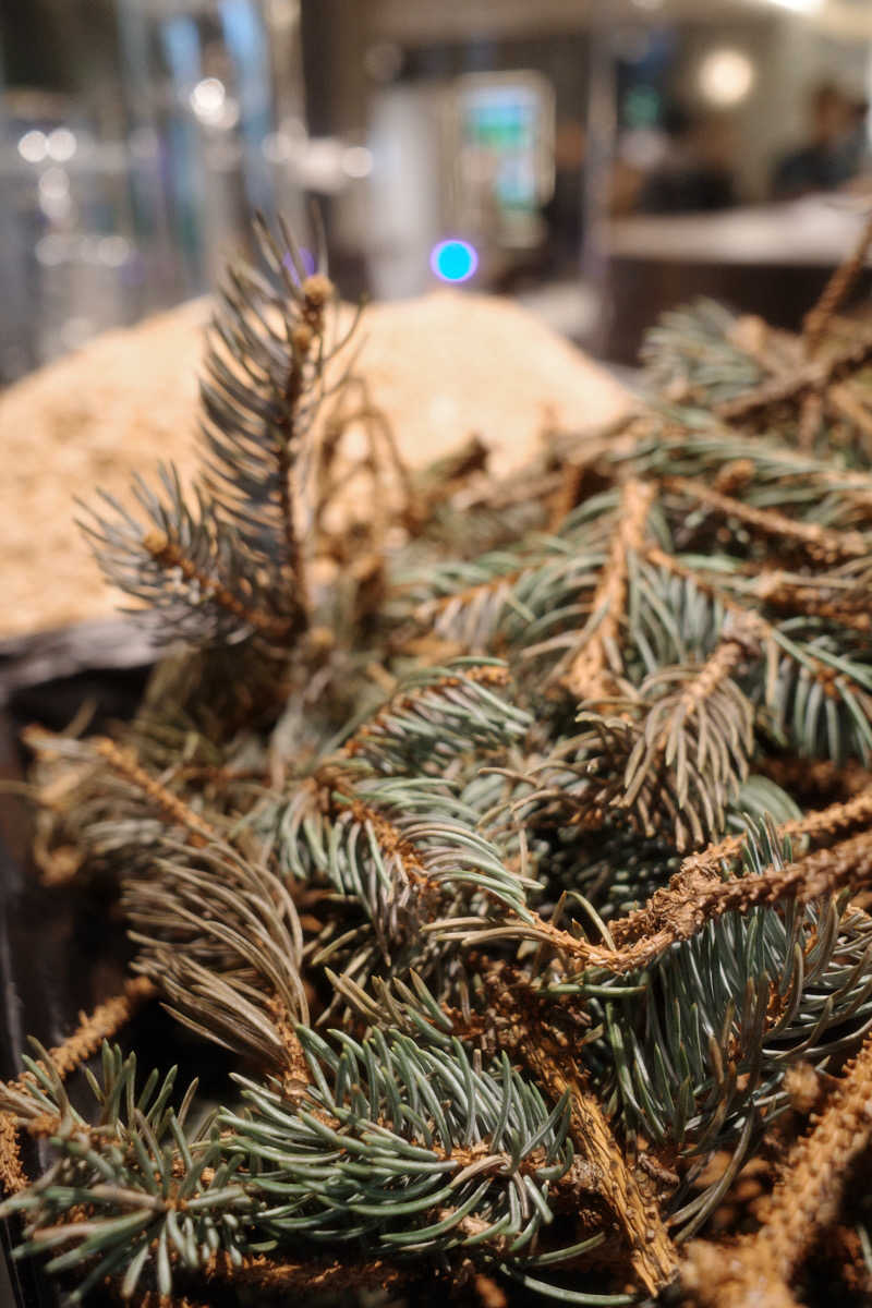 てぃーが🐯さんの高輪SAUNASのサ活写真