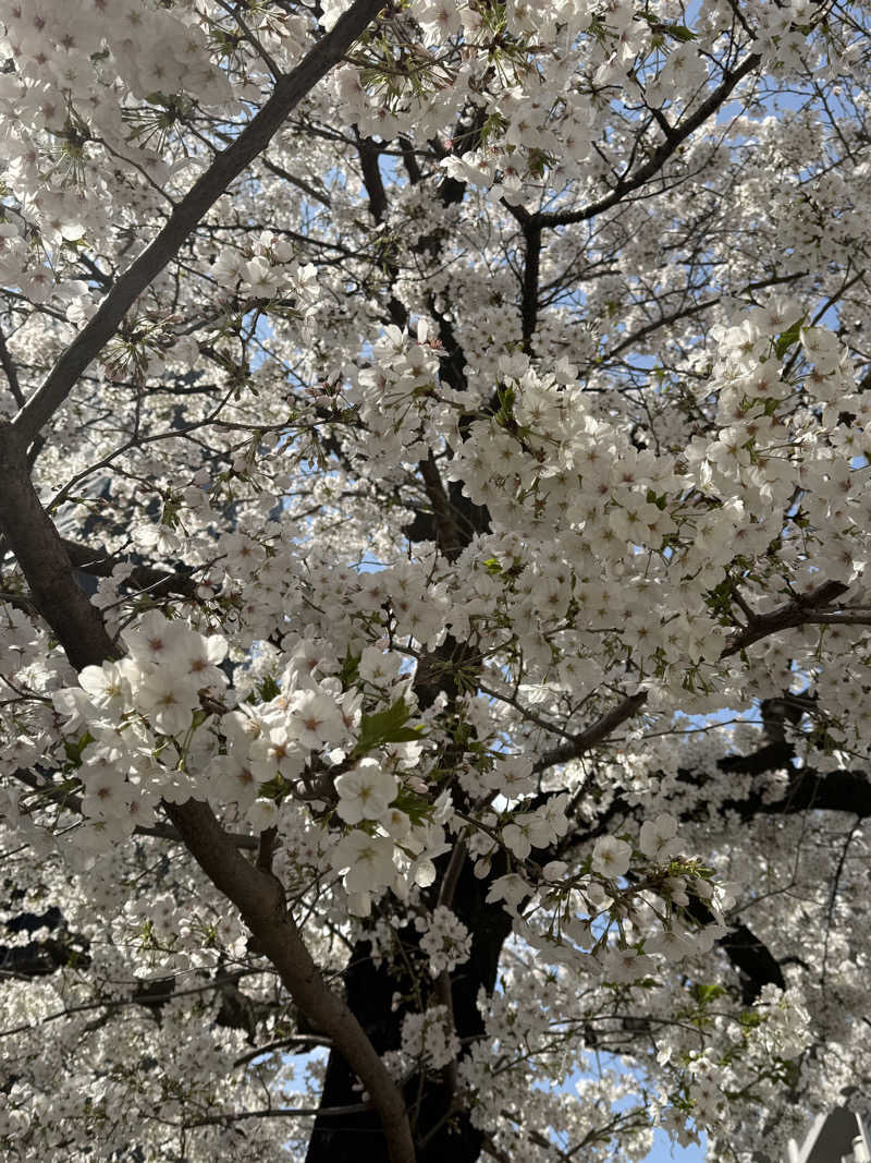 ‪‪‪‪Kさんの天然温泉 湯どんぶり栄湯のサ活写真
