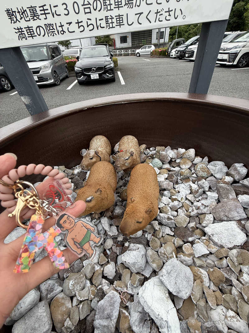 ‪‪‪‪Kさんの富士山天然水SPA サウナ鷹の湯のサ活写真