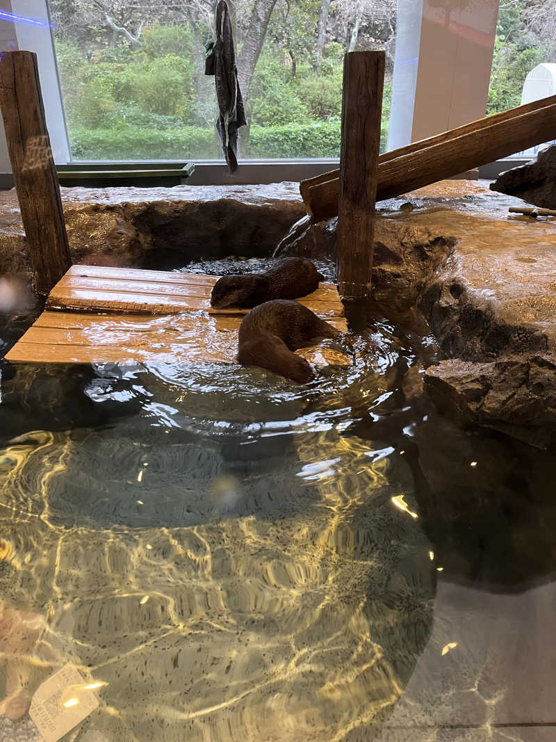 るいくんにさんのよみうりランド眺望温泉 花景の湯のサ活写真