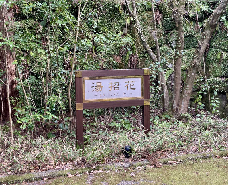 サウスのサウナさんの湯泉郷 温泉館 湯招花のサ活写真