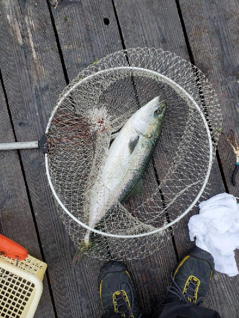 ちぷおさんの野天風呂 あかねの湯 姫路南店のサ活写真