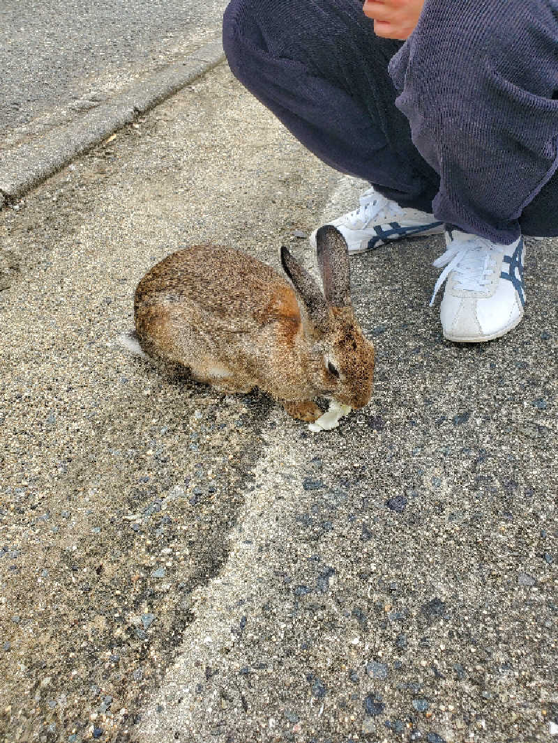 ちぷおさんのしまなみ温泉 喜助の湯のサ活写真