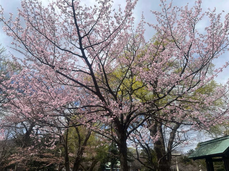 ｻ飯格別 後志ｻｳﾅ研究中💭さんのスゴイサウナ 札幌すすきの店のサ活写真