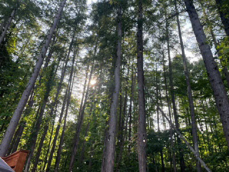 ｻ飯格別 後志ｻｳﾅ研究中💭さんのsauna NALUQのサ活写真