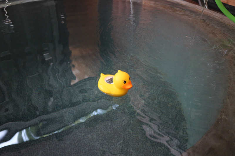 ｻ飯格別 後志ｻｳﾅ研究中💭さんのsauna NALUQのサ活写真