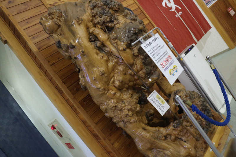 ｻ飯格別 後志ｻｳﾅ研究中💭さんの京極温泉 京極ふれあい交流センターのサ活写真