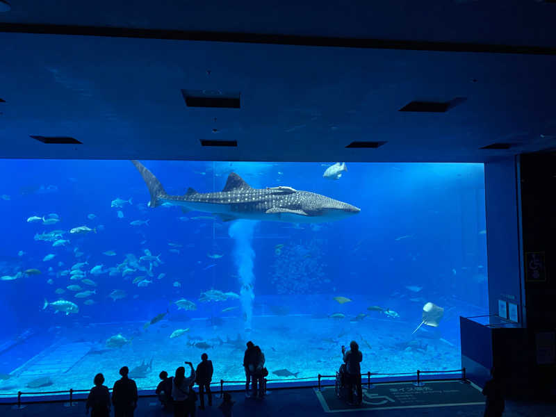 chinenさんのリザンシーパークホテル谷茶ベイのサ活写真