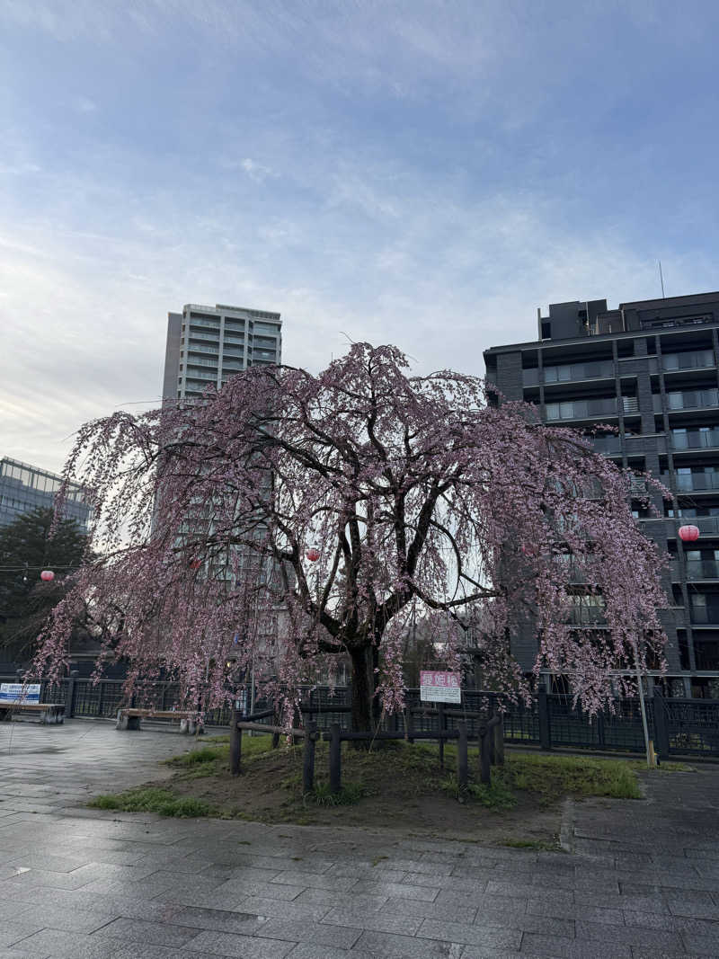 JINAさんの天然温泉 杜都の湯 御宿 野乃仙台のサ活写真