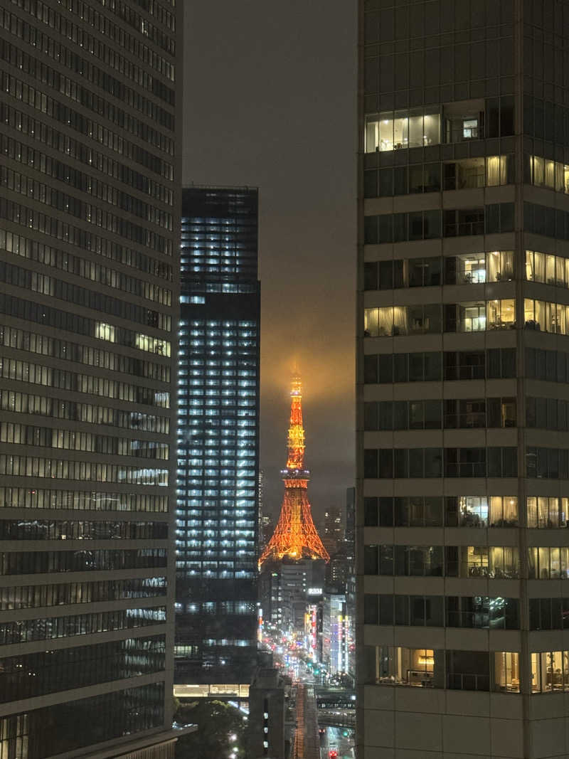 JINAさんのアジュール竹芝 天空の湯のサ活写真