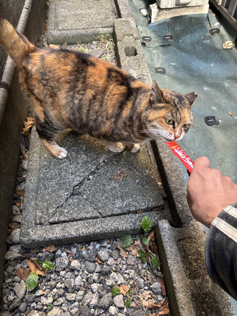 じもんちゃんさんの小山湯のサ活写真