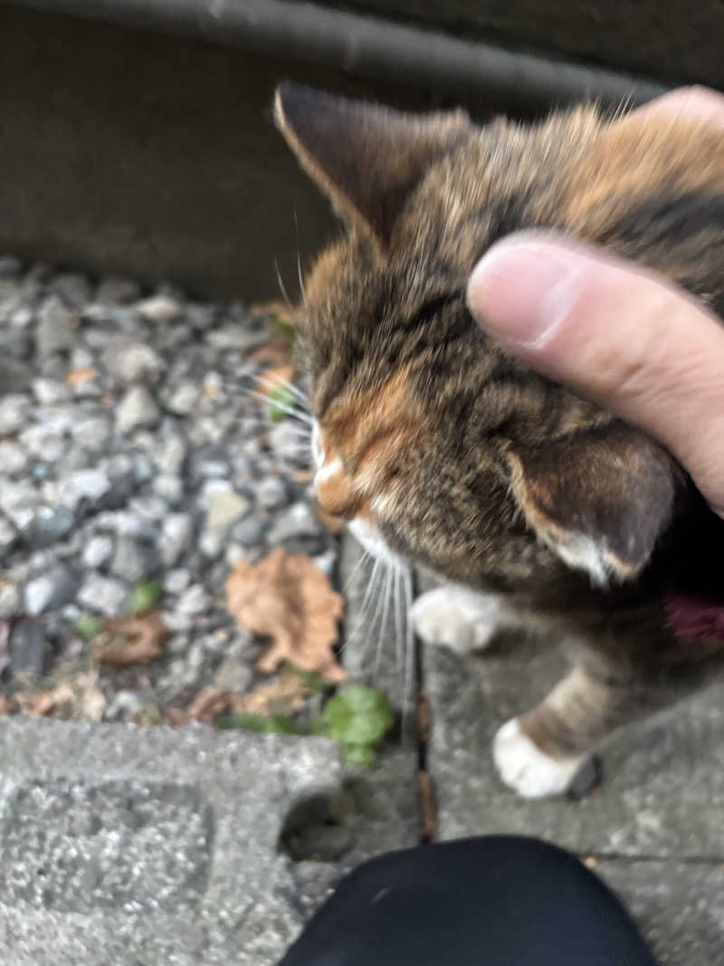 じもんちゃんさんの小山湯のサ活写真