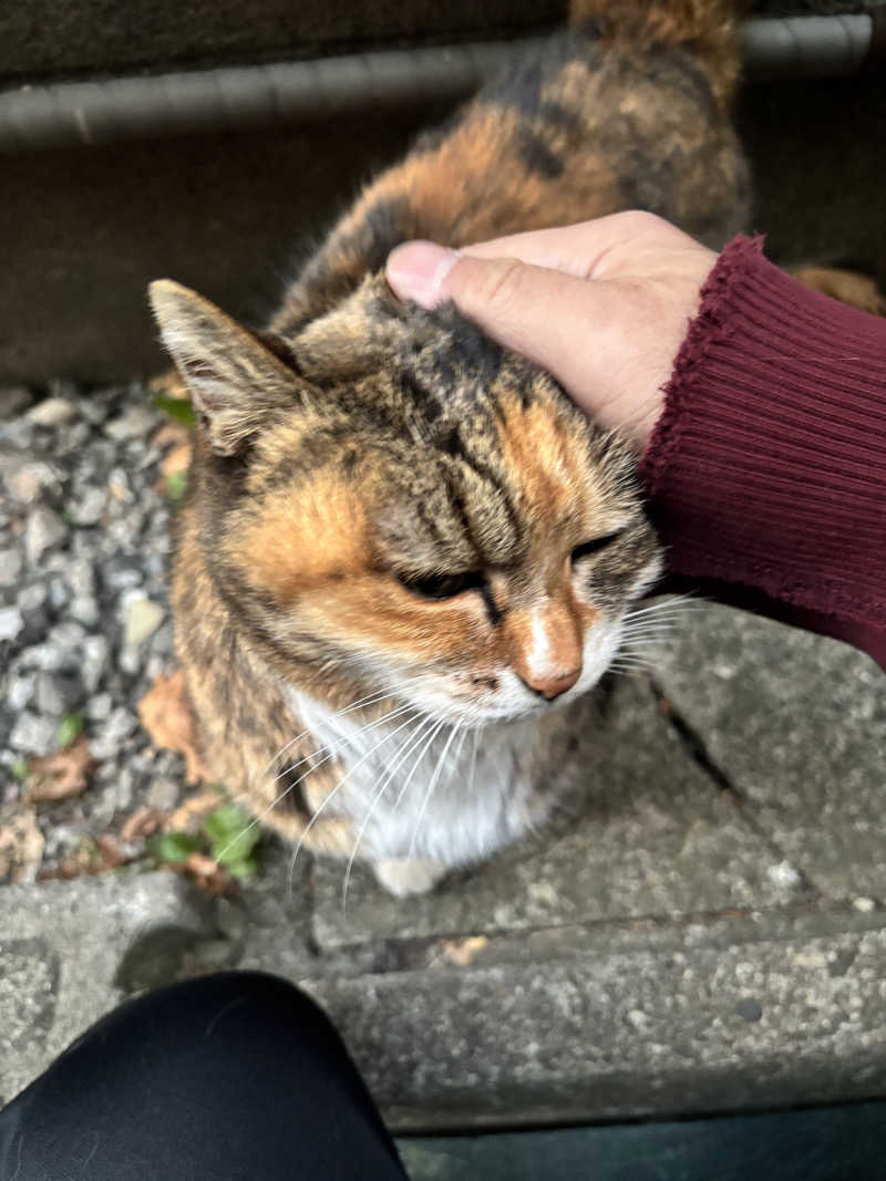 じもんちゃんさんの小山湯のサ活写真