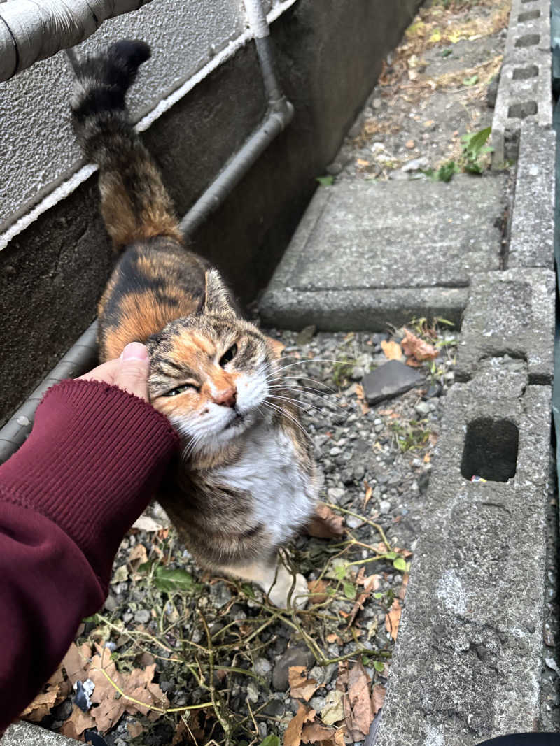 じもんちゃんさんの小山湯のサ活写真