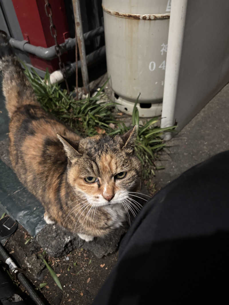 じもんちゃんさんの本牧ゆあそび館のサ活写真