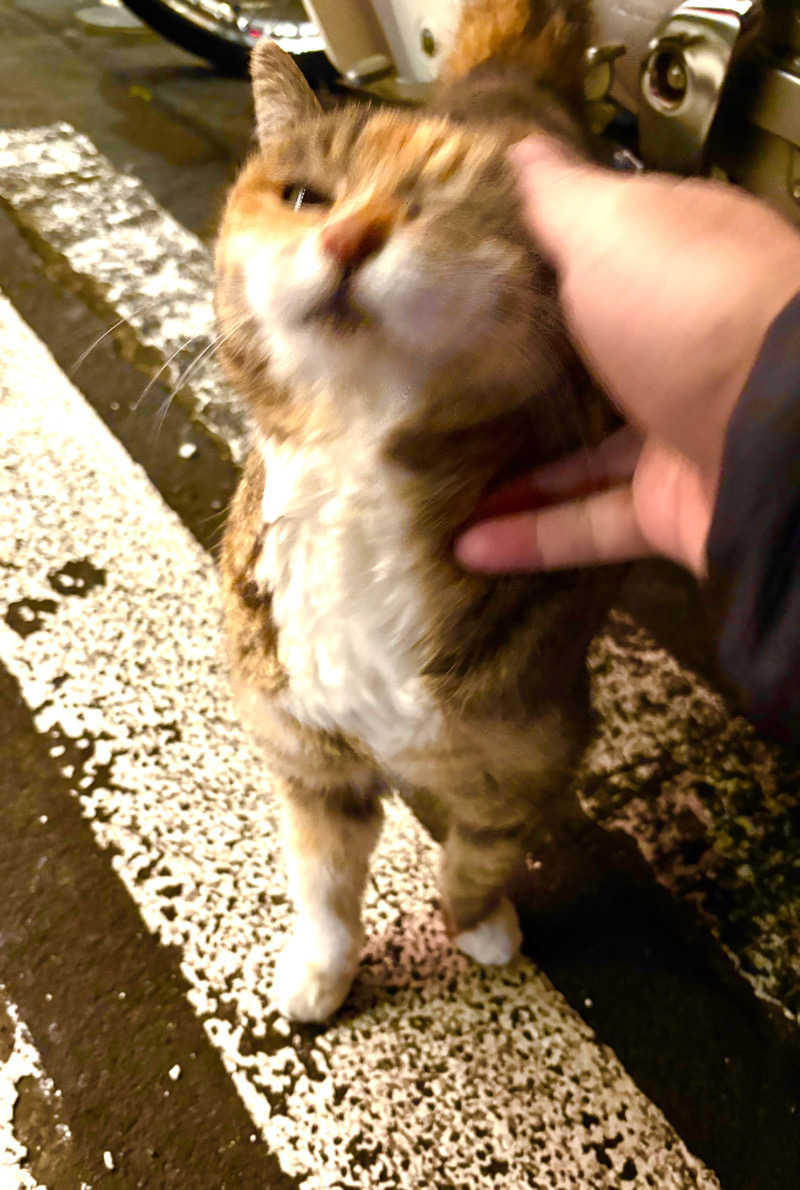 じもんさんのねぎしの湯 大盛舘のサ活写真