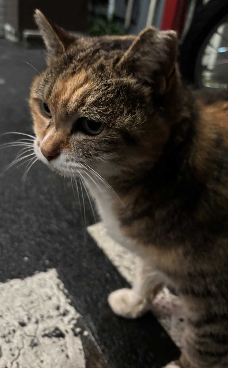 じもんさんの本牧ゆあそび館のサ活写真