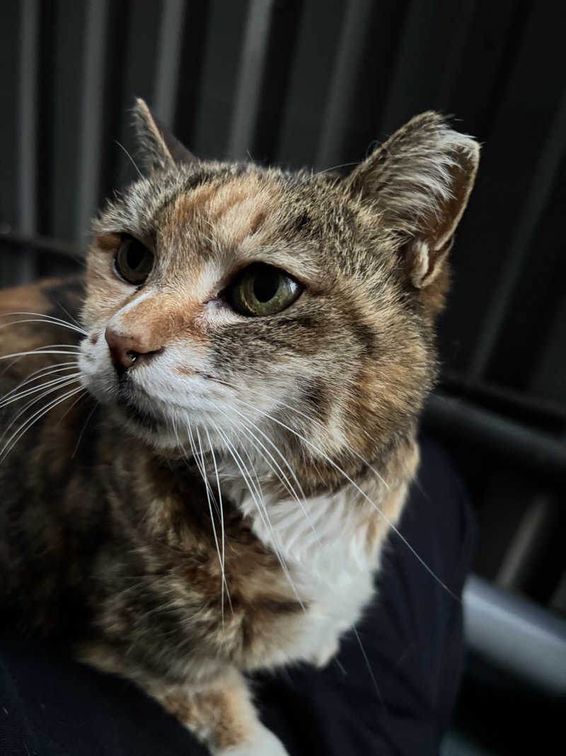 じもんさんの小松湯のサ活写真