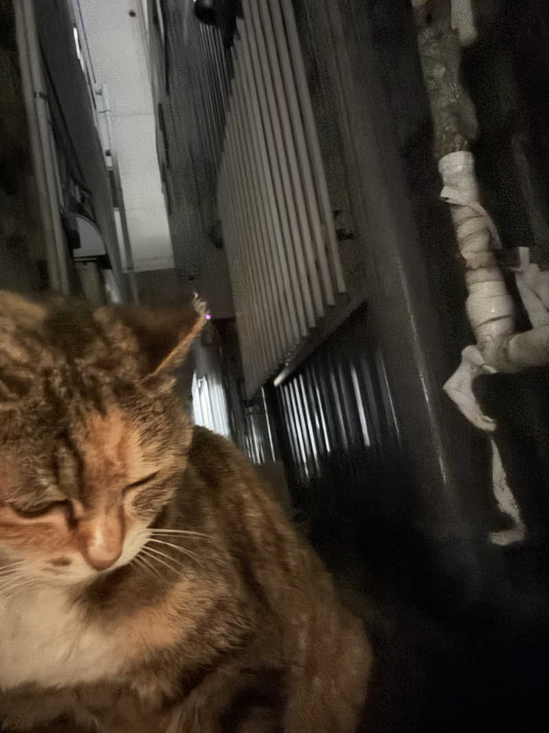 じもんさんの小松湯のサ活写真