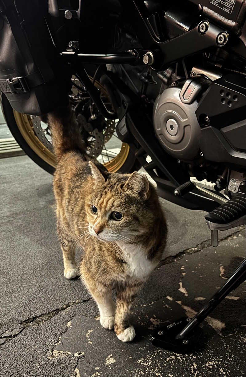 じもんさんのレックスイン川崎のサ活写真