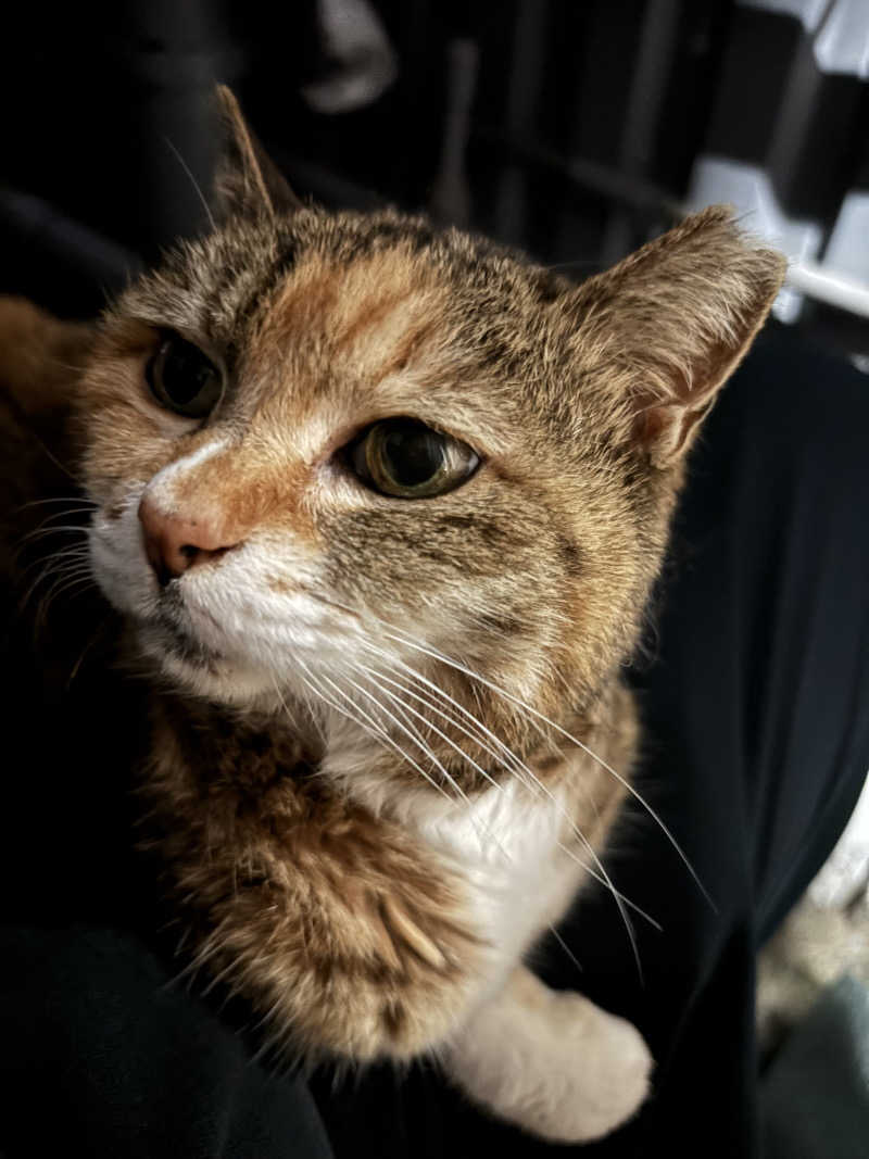 じもんさんの小松湯のサ活写真