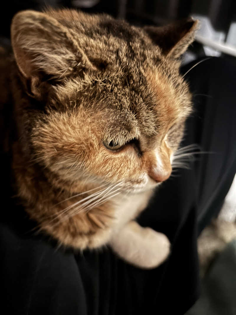 じもんさんの小松湯のサ活写真