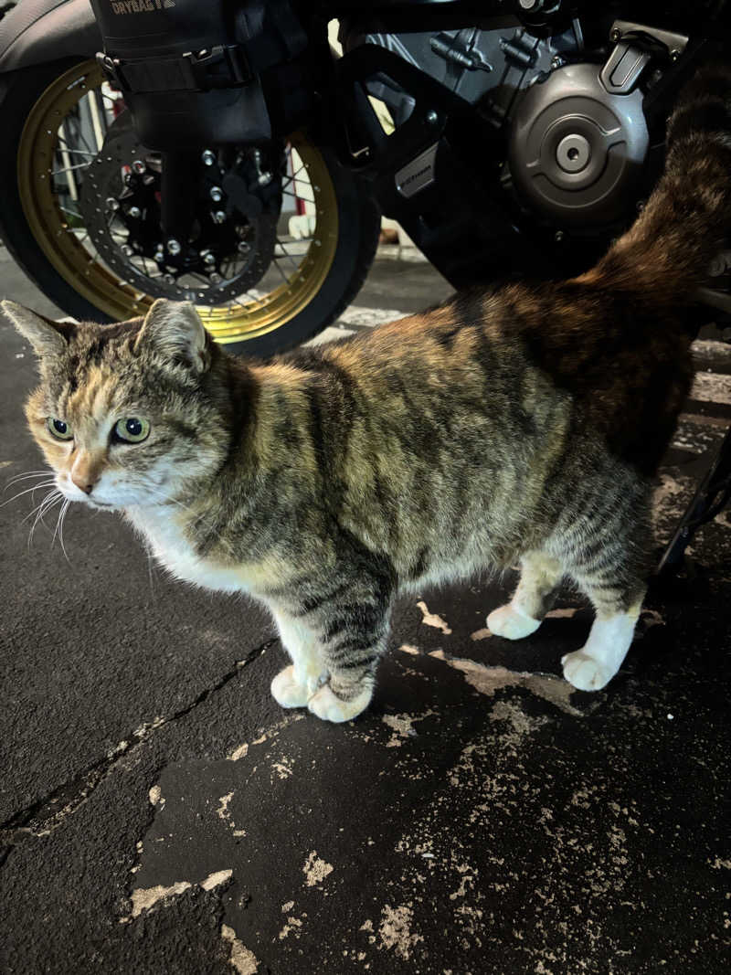 じもんさんのサウナきさらづ つぼやのサ活写真