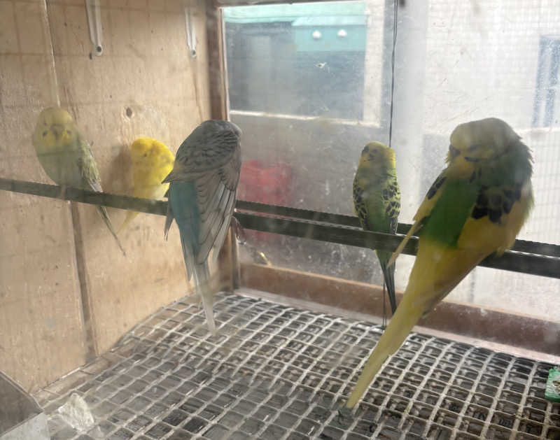 じもんさんの湯あそびひろば 葛の湯のサ活写真