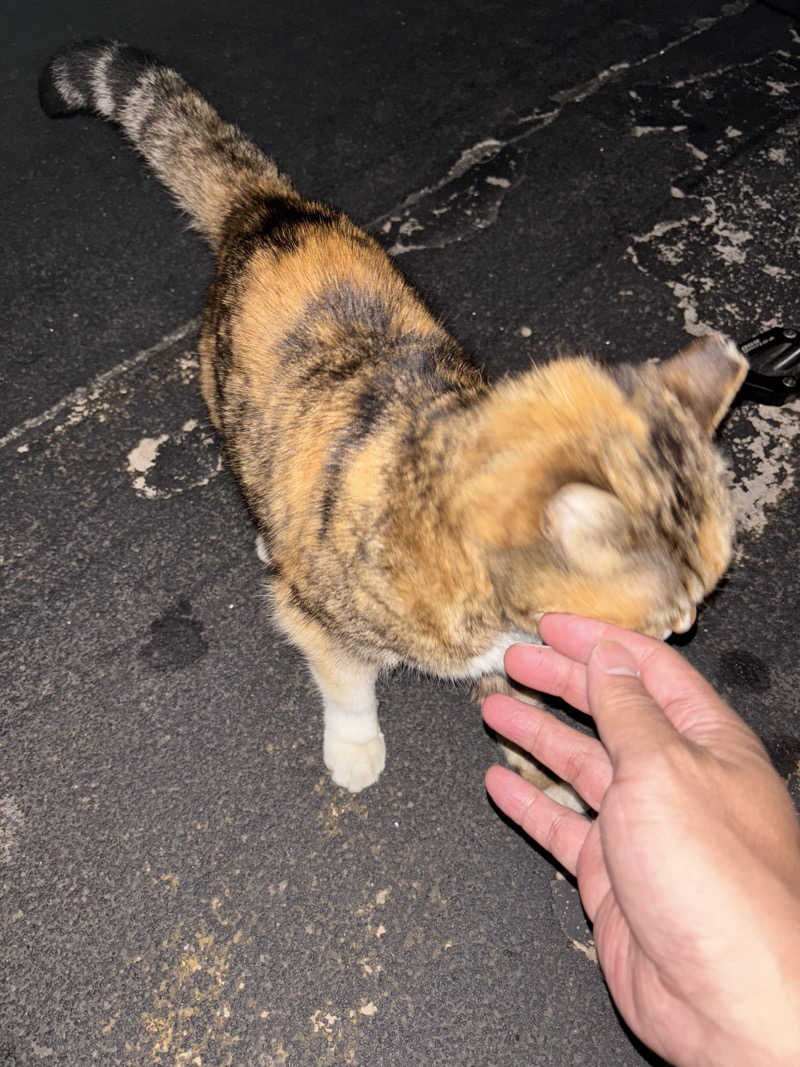 じもんさんの小松湯のサ活写真
