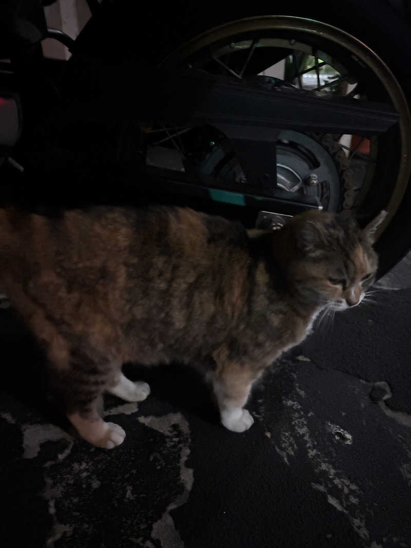 じもんさんの小松湯のサ活写真