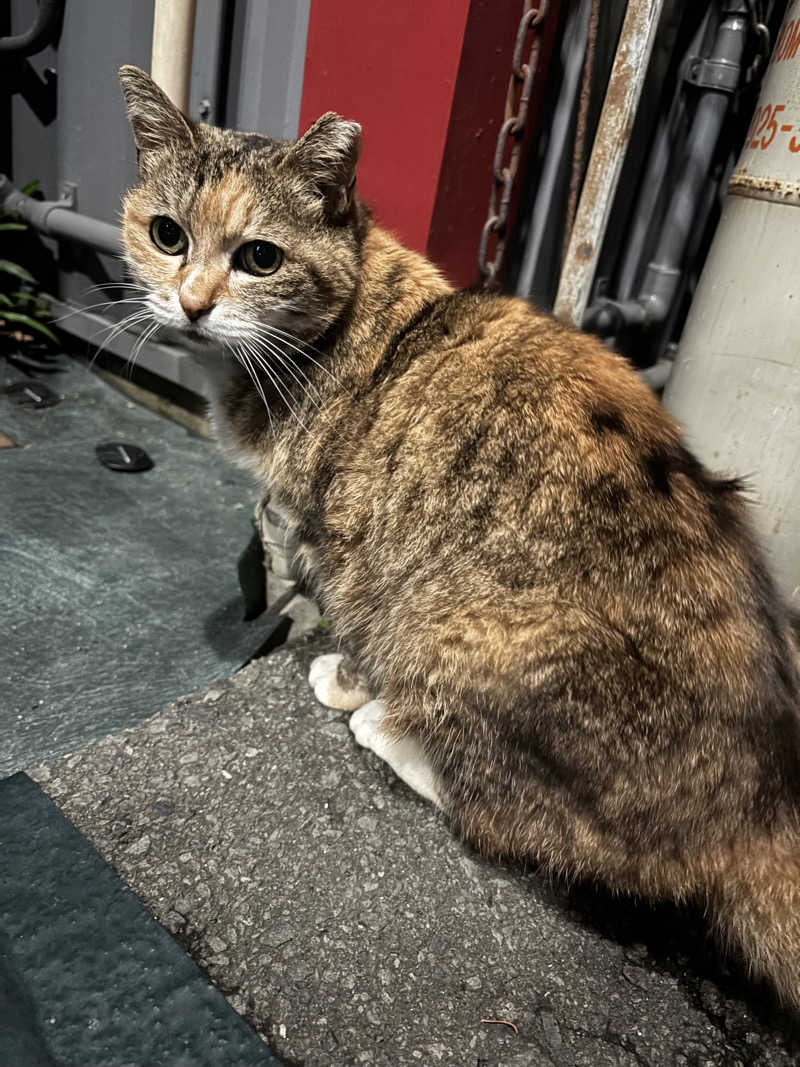 じもんさんの小松湯のサ活写真