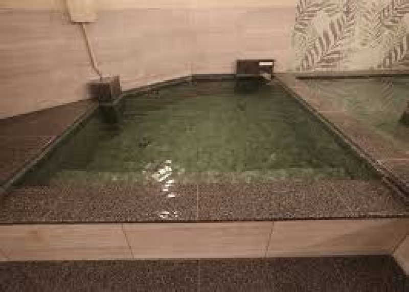 じもんさんのホテルフィットのサ活写真