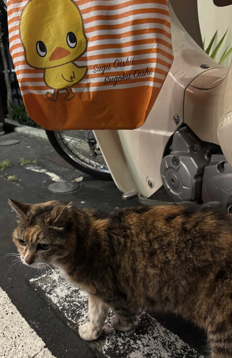 じもんさんの本牧ゆあそび館のサ活写真