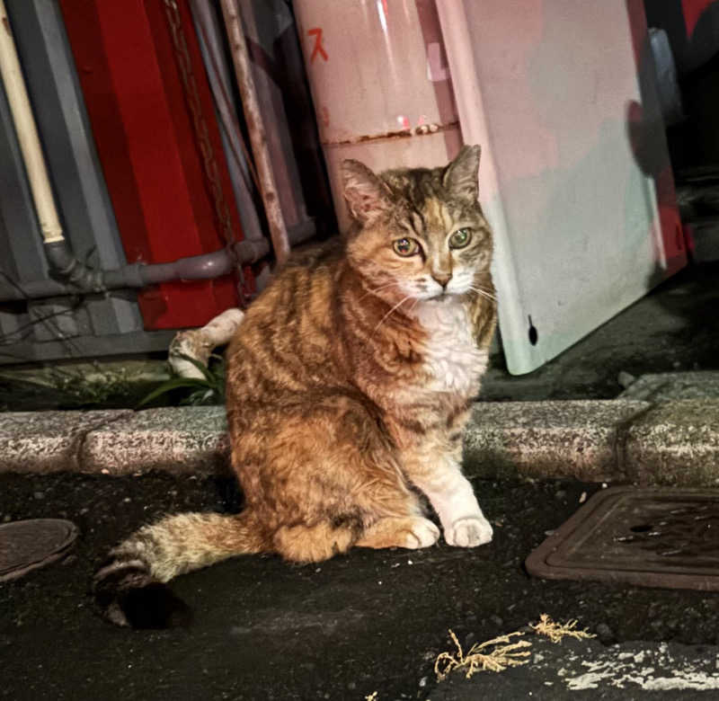 あまみニキ(じもん)さんの小松湯のサ活写真