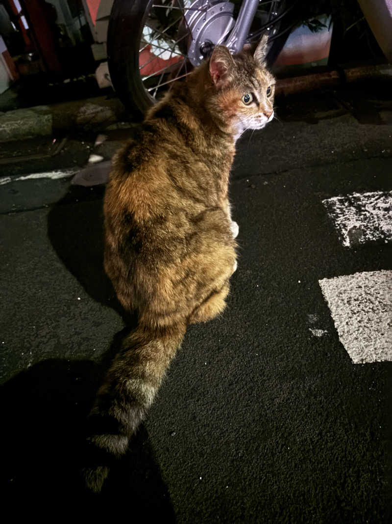 あまみニキ(じもん)さんの小松湯のサ活写真