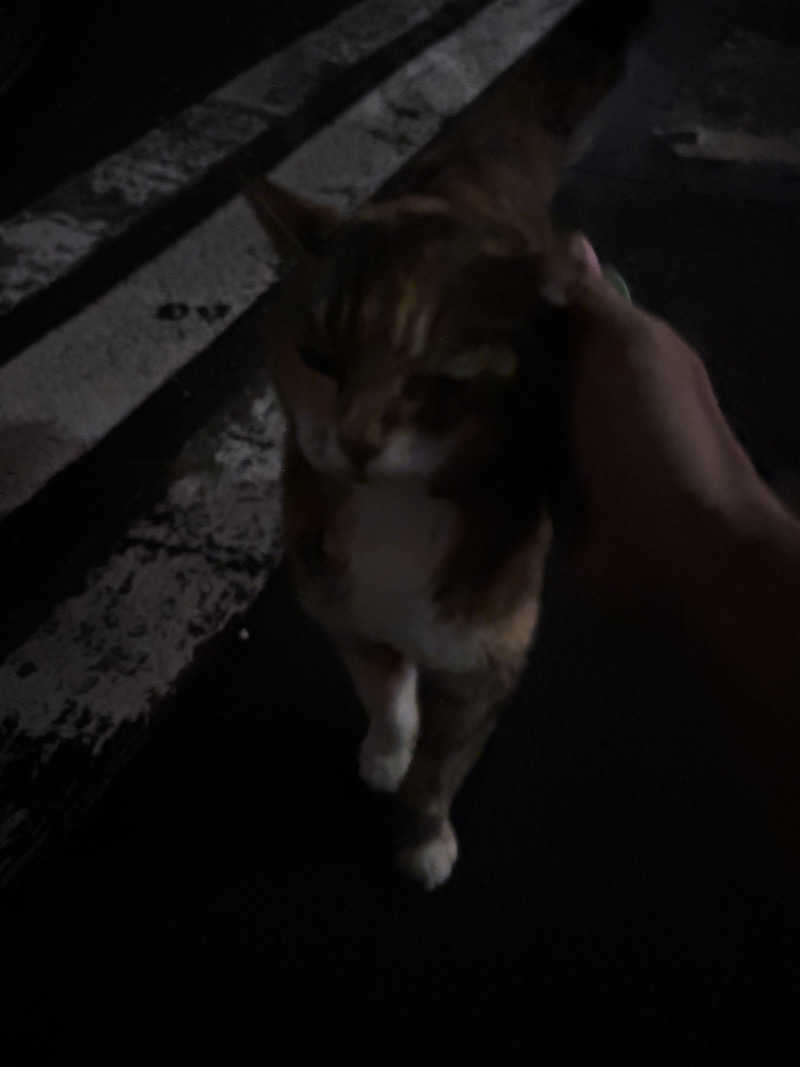 じもんさんの小松湯のサ活写真