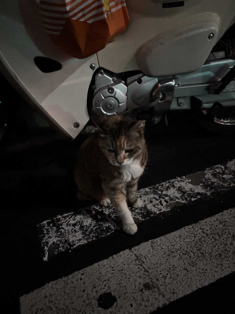 じもんさんの小松湯のサ活写真