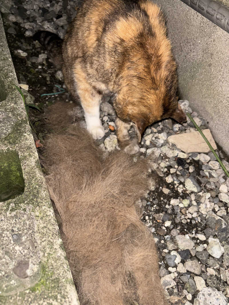 じもんさんの小松湯のサ活写真