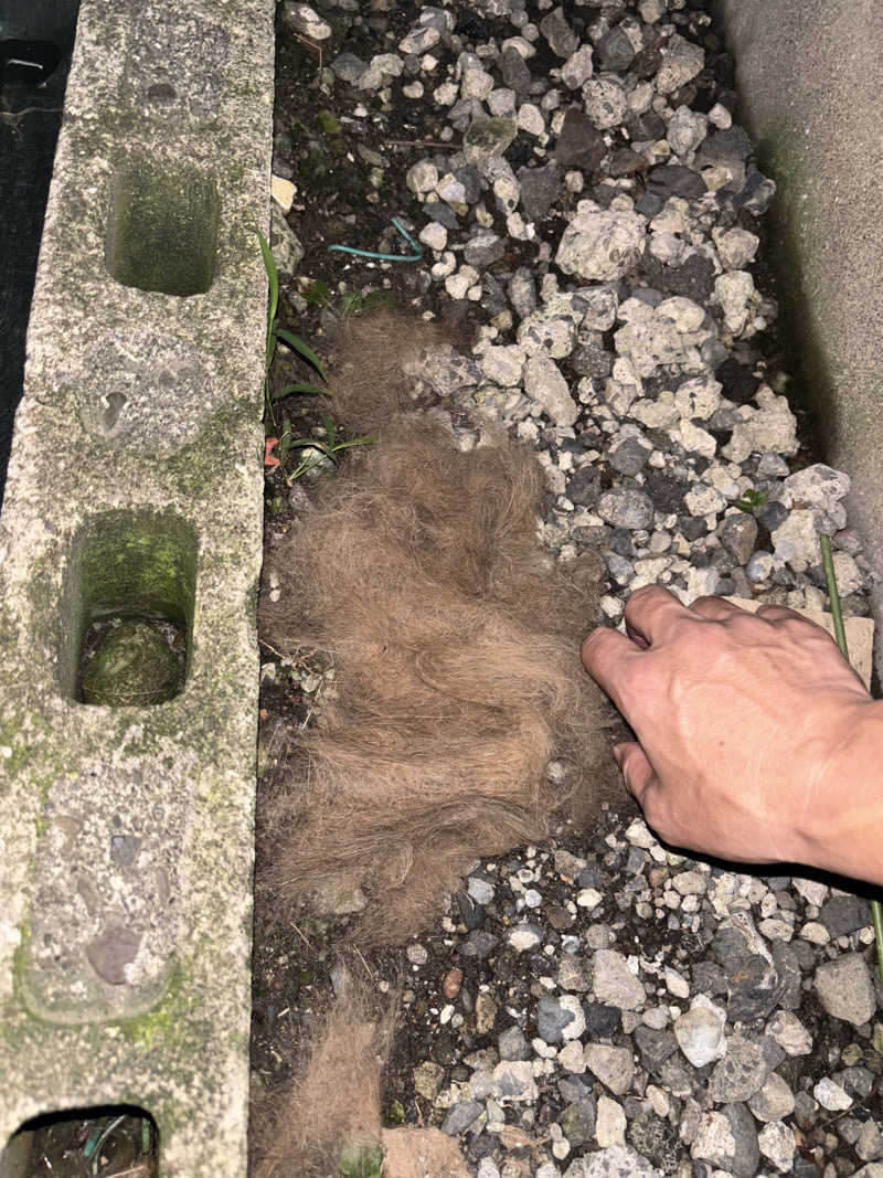 じもんさんの小松湯のサ活写真