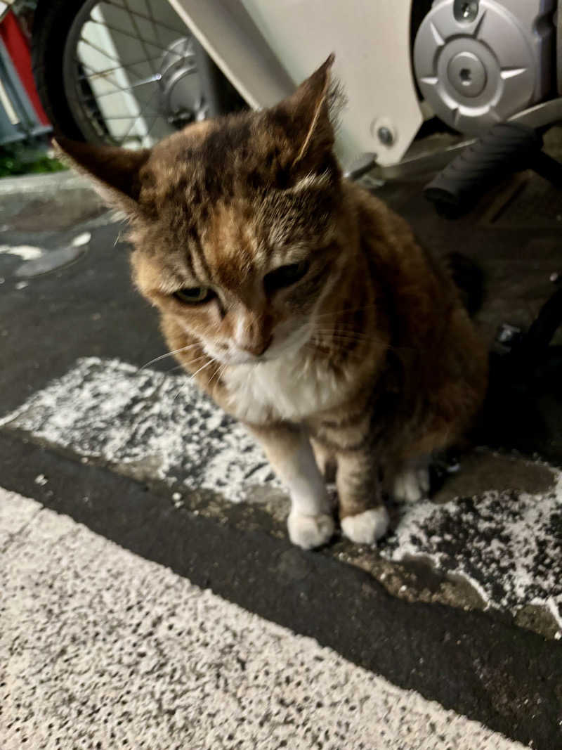 じもんさんの小松湯のサ活写真